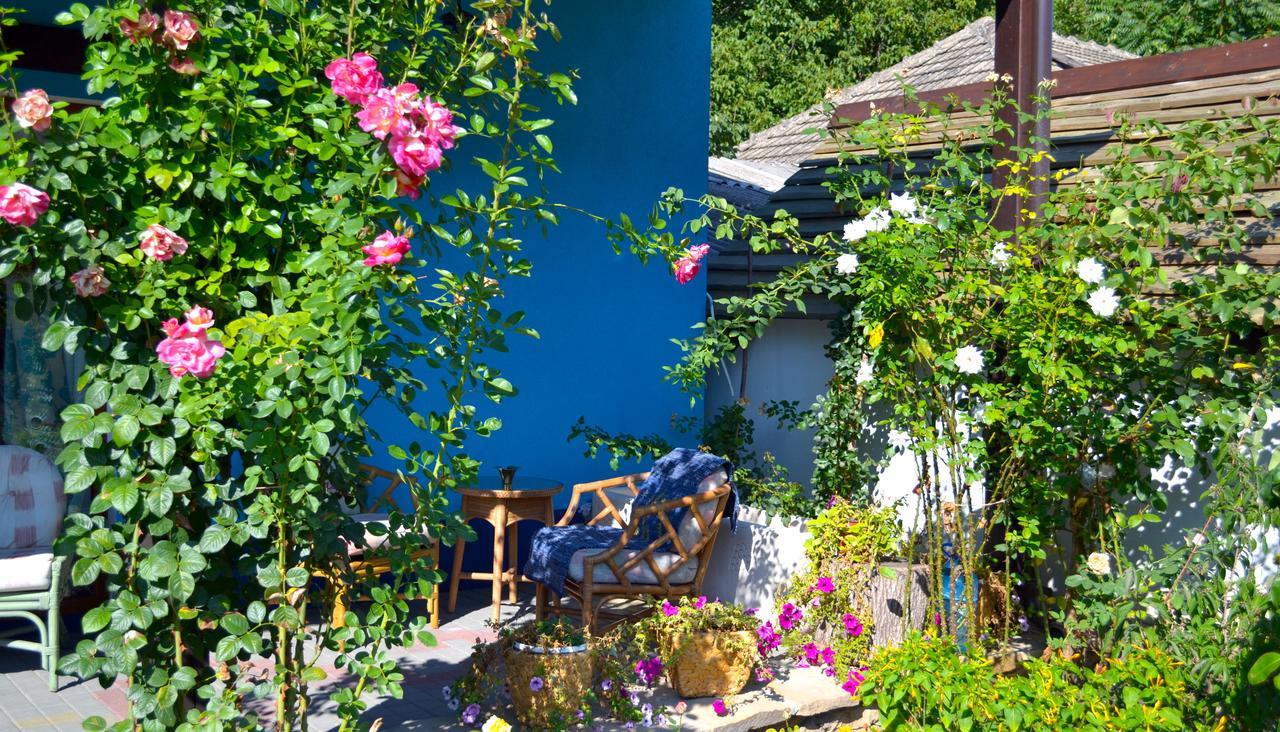 Bed and Breakfast Resedinta Rotundu à Butuceny Extérieur photo